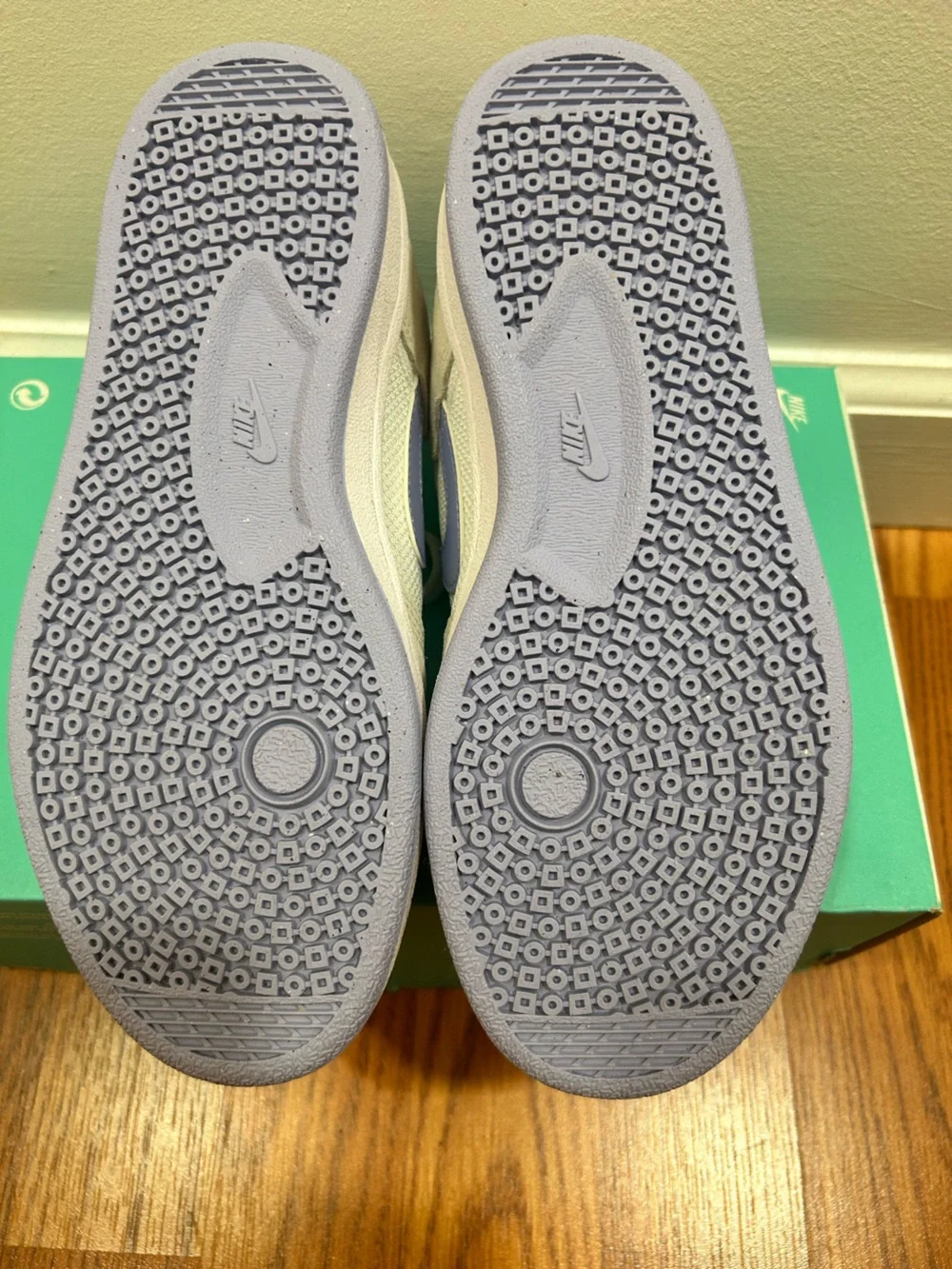 Women’s Nike SB Alleyoop